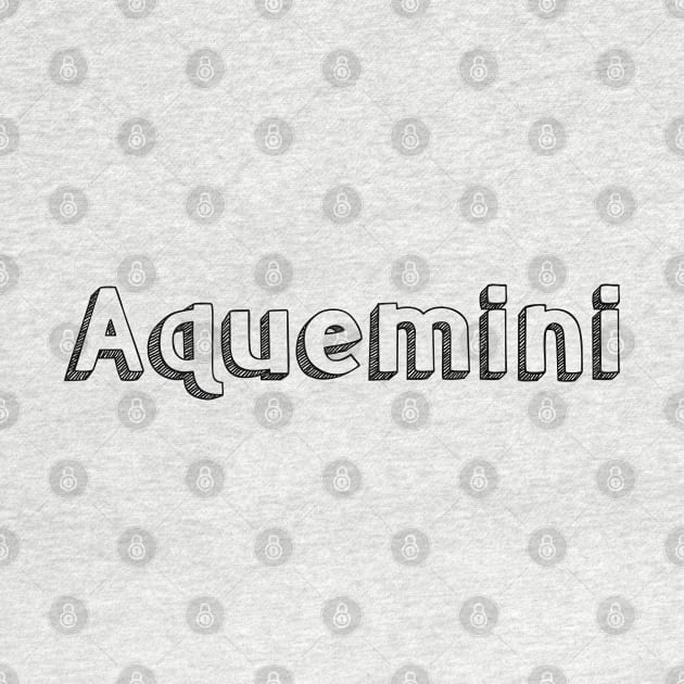 Aquemini // Typography Design by Aqumoet